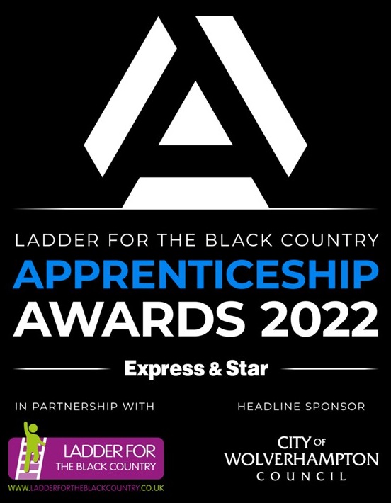 Ladder for the Black Country